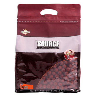 Dynamite Baits The Source Boilies