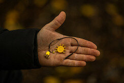 Pole Position Tungsta Corn Shot